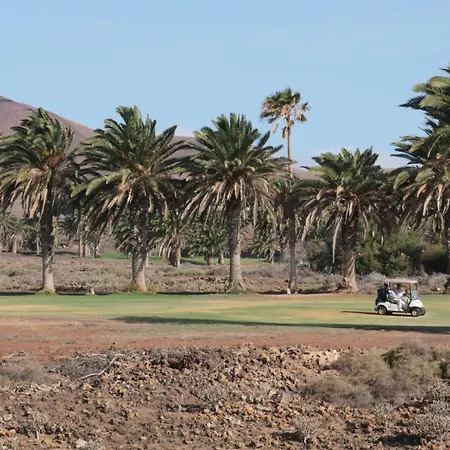 Sur Le Golf טגיסי